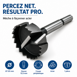 Leman Meche Faconner Acier D120 Q12,5 LEMAN Kobleo