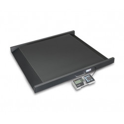 Kern sohn Plateforme pour chaise roulante MWS 300K100M 300kg 900x740mm Kern Kobleo