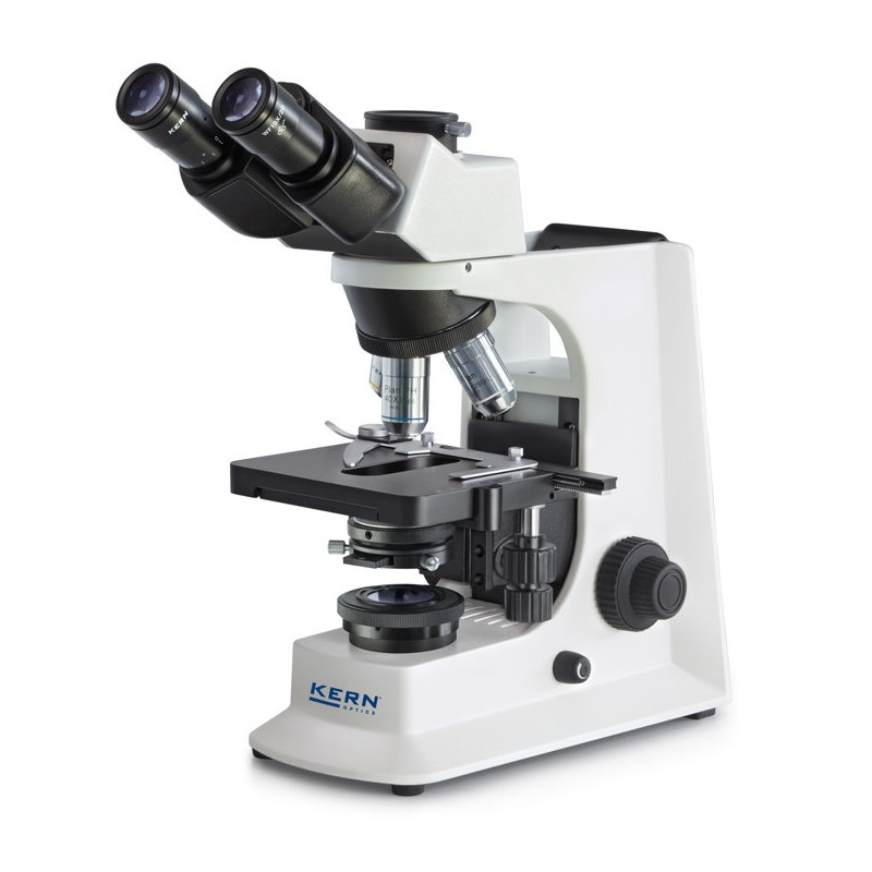 Kern sohn Microscope trinoculaire OBL 155 halogène 20W 4x/PH10x/PH40x/100x Kern Kobleo
