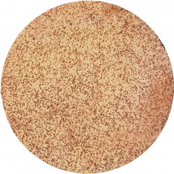 Leman Disque LEMAN auto-agrippant carbure de tungstène 225 mm Grain 36 Kobleo