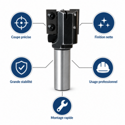 Leman Porte-Outils Calibrer CNC D. 50 mm Queue 20 mm, Leman Kobleo