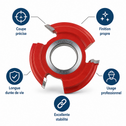 Leman Fraise Quart de Rond HSS R. 10 mm Toupie, Leman Kobleo