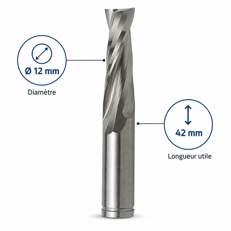 Leman Fraise Defonceuse Carbure D. 12 mm LU. 42 mm, Leman Kobleo