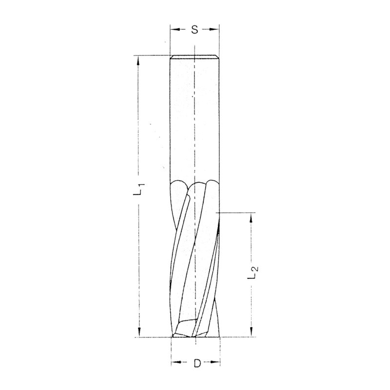 Leman Fraise Defonceuse Carbure D. 20 mm LU. 52 mm, Leman Kobleo
