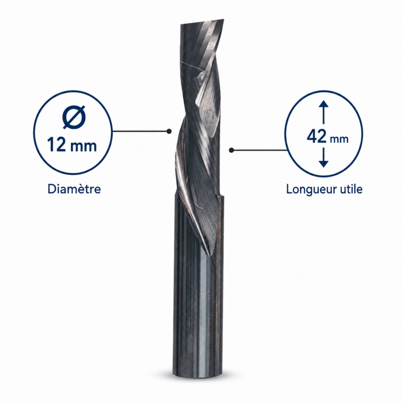 Leman Fraise Defonceuse Carbure D. 12 mm LU. 42 mm, Leman Kobleo