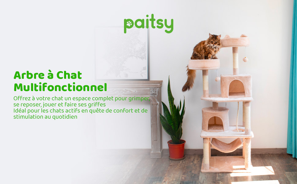 Descriptif-01-02L2condo2CatBG.jpg