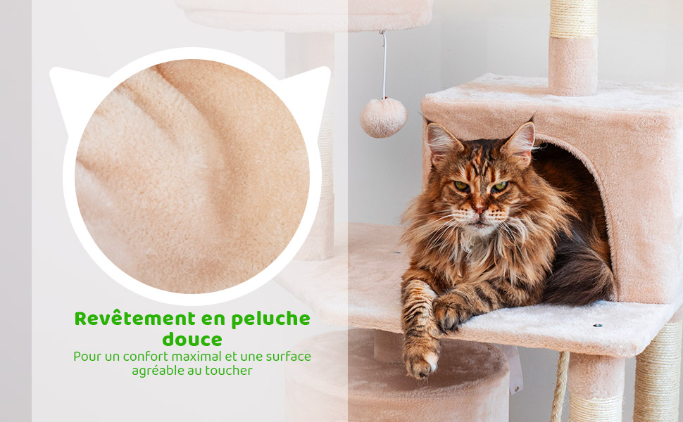 Descriptif-02-02L2condo2CatBG.jpg
