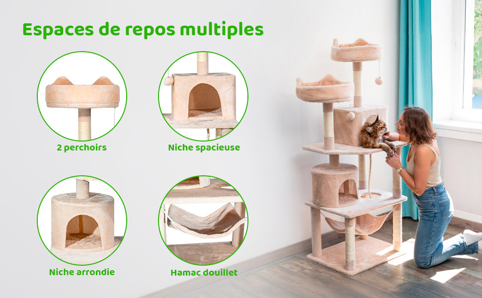 Descriptif-03-02L2condo2CatBG.jpg