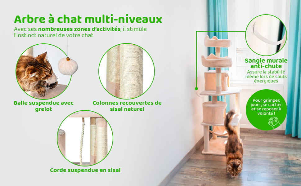 Descriptif-05-02L2condo2CatBG.jpg