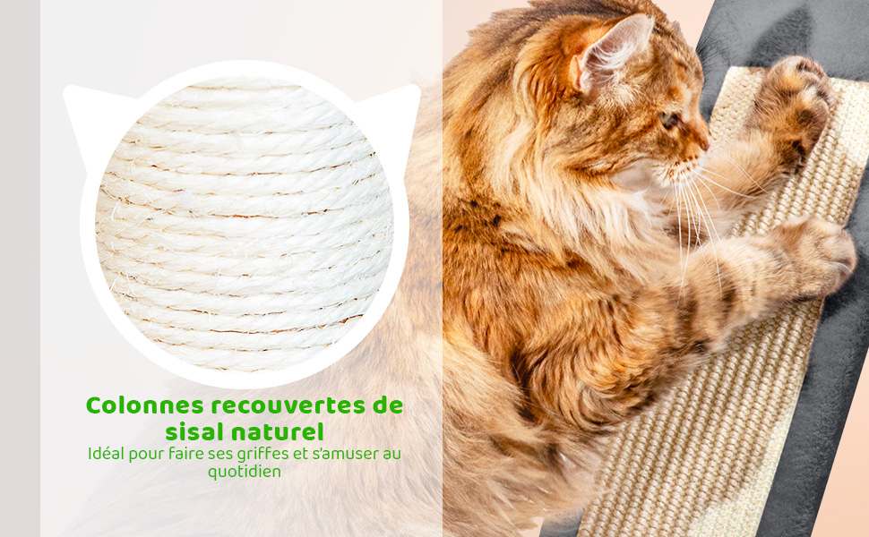 Arbre a chat XL, Griffoir pour chat, Perchoirs Niche Hamac Balles, Colonnes en Sisal, Multi-niveaux Tour Peluche, Hauteur 150 cm, gris foncé, PAITSY