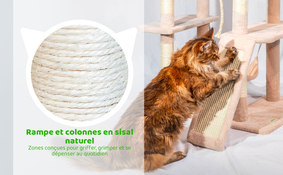 Arbre a chat XL, Griffoir pour chat, 1 Perchoir, 1 Niche, 1 Hamac, Balle, Colonnes en Sisal, Peluche, Multi-niveaux Tour Hauteur 160 cm, beige, PAITSY