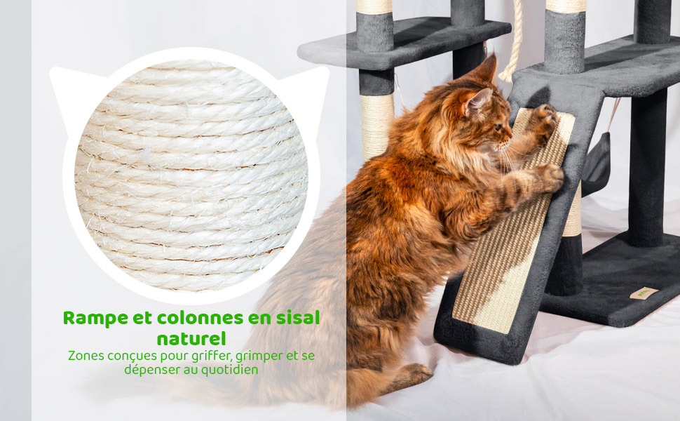 Arbre a chat XL, Griffoir pour chat, Perchoir, Niche, Hamac, Balle, Colonnes en Sisal, Peluche, Multi-niveaux Tour Hauteur 160 cm, gris foncé, PAITSY