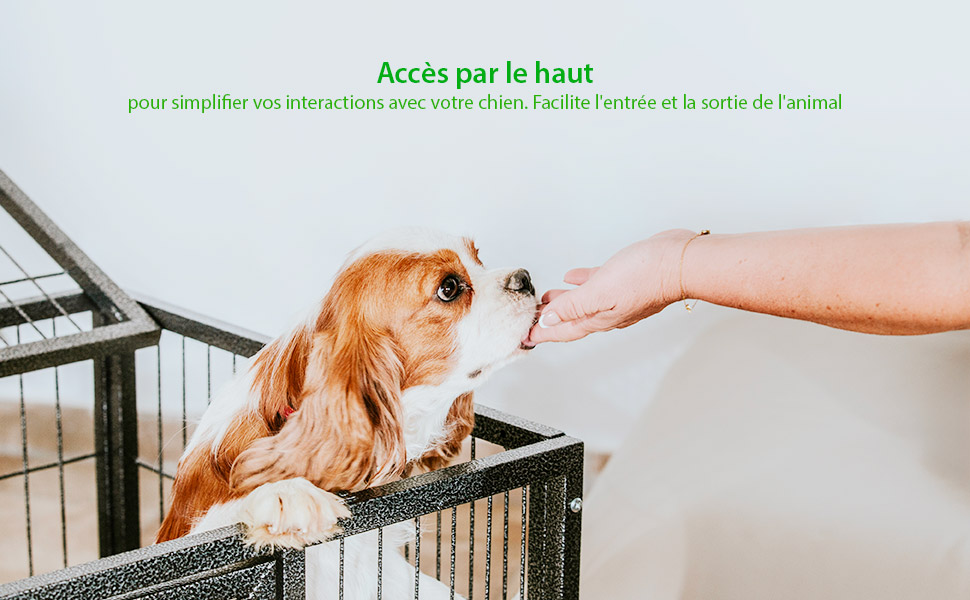 Cage pour chien intérieur et extérieur MouvedyL, 94x64x76cm, caisse de transport, roues verrouillables, pliable, 2 portes, plateau amovible, Paitsy