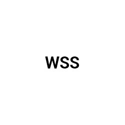 WSS